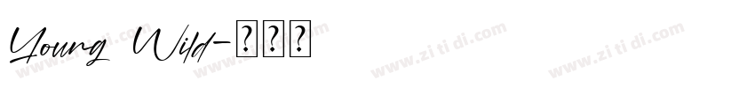 Young Wild字体转换
